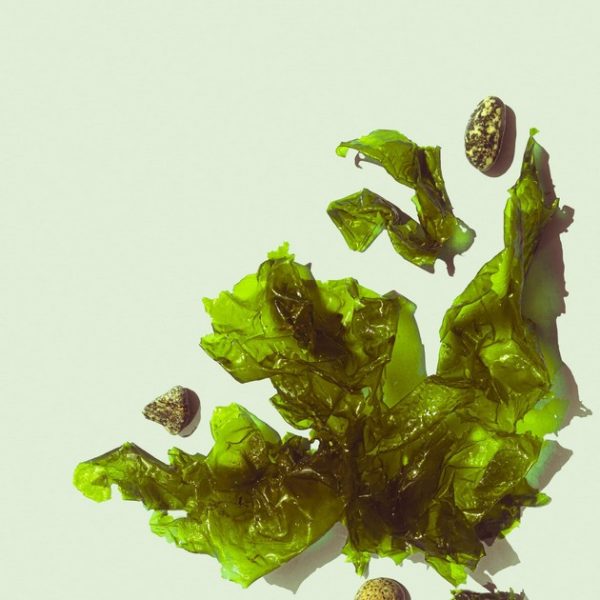 SEAWEED MUD